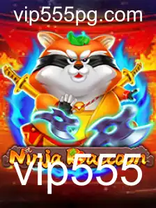 Descubra o Universo Empolgante de NinjaRaccoon